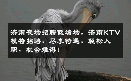 济南夜场招聘低端场，济南KTV模特招聘，尽享待遇，轻松入职，机会难得！
