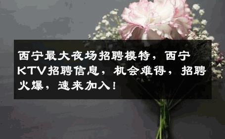西宁最大夜场招聘模特，西宁KTV招聘信息，机会难得，招聘火爆，速来加入！