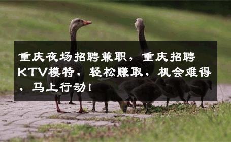 重庆夜场招聘兼职，重庆招聘KTV模特，轻松赚取，机会难得，马上行动！