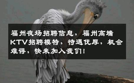 福州夜场招聘信息，福州高端KTV招聘模特，待遇优厚，机会难得，快来加入我们！