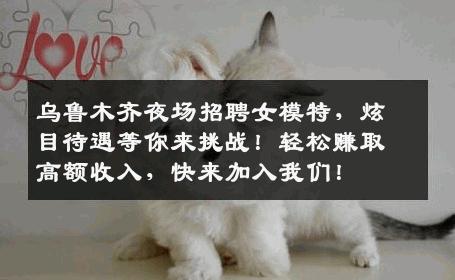 乌鲁木齐夜场招聘女模特，炫目待遇等你来挑战！轻松赚取高额收入，快来加入我们！