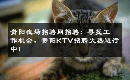 贵阳夜场招聘网招聘：寻找工作机会，贵阳KTV招聘火热进行中！