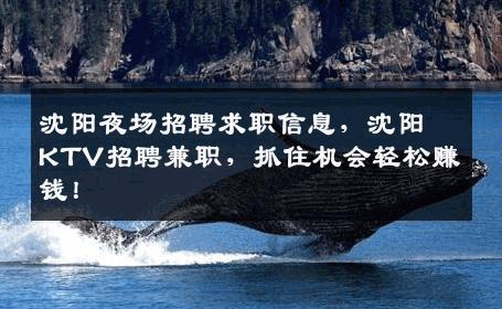 沈阳夜场招聘求职信息，沈阳KTV招聘兼职，抓住机会轻松赚钱！