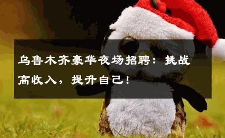 乌鲁木齐豪华夜场招聘：挑战高收入，提升自己！