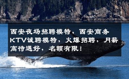 西安夜场招聘模特，西安商务KTV诚聘模特，火爆招聘，月薪高待遇好，名额有限！