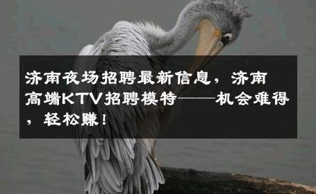 济南夜场招聘最新信息，济南高端KTV招聘模特——机会难得，轻松赚！