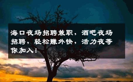 海口夜场招聘兼职，酒吧夜场招聘，轻松赚外快，活力夜等你加入！