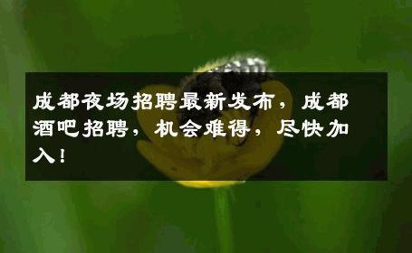 成都夜场招聘最新发布，成都酒吧招聘，机会难得，尽快加入！