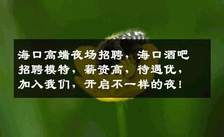 海口高端夜场招聘，海口酒吧招聘模特，薪资高，待遇优，加入我们，开启不一样的夜！