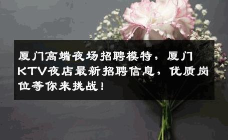 厦门高端夜场招聘模特，厦门KTV夜店最新招聘信息，优质岗位等你来挑战！