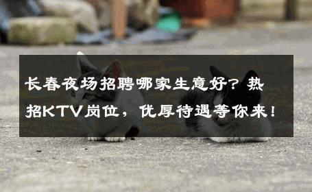 长春夜场招聘哪家生意好？热招KTV岗位，优厚待遇等你来！