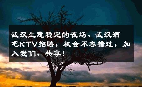 武汉生意稳定的夜场，武汉酒吧KTV招聘，机会不容错过，加入我们，共享！