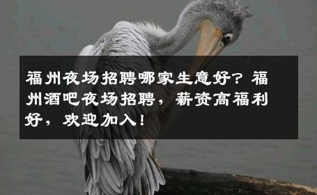福州夜场招聘哪家生意好？福州酒吧夜场招聘，薪资高福利好，欢迎加入！