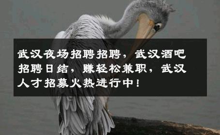 武汉夜场招聘招聘，武汉酒吧招聘日结，赚轻松兼职，武汉人才招募火热进行中！
