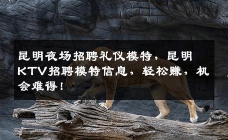 昆明夜场招聘礼仪模特，昆明KTV招聘模特信息，轻松赚，机会难得！