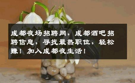 成都夜场招聘网，成都酒吧招聘信息，寻找最热职位，轻松赚！加入成都夜生活！