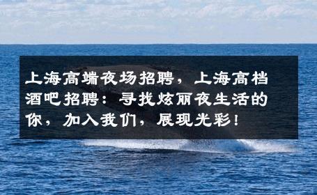 上海高端夜场招聘，上海高档酒吧招聘：寻找炫丽夜生活的你，加入我们，展现光彩！