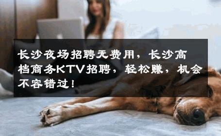 长沙夜场招聘无费用，长沙高档商务KTV招聘，轻松赚，机会不容错过！
