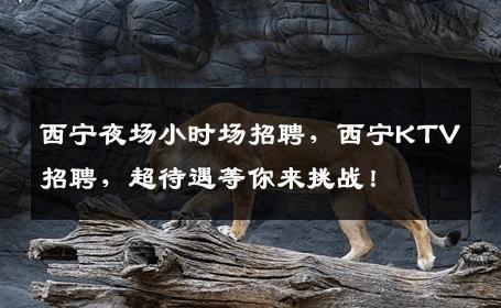 西宁夜场小时场招聘，西宁KTV招聘，超待遇等你来挑战！