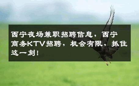 西宁夜场兼职招聘信息，西宁商务KTV招聘，机会有限，抓住这一刻！