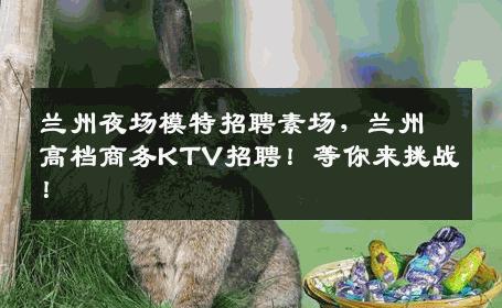 兰州夜场模特招聘素场，兰州高档商务KTV招聘！等你来挑战！