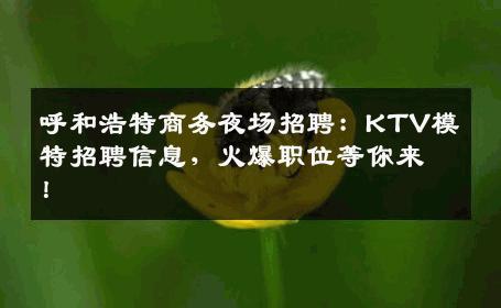 呼和浩特商务夜场招聘：KTV模特招聘信息，火爆职位等你来！