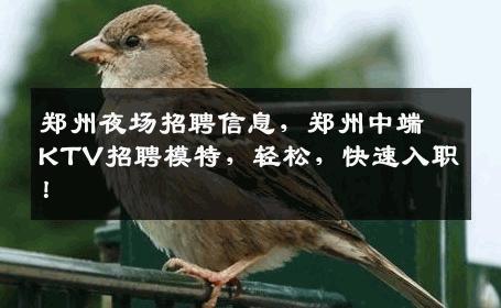 郑州夜场招聘信息，郑州中端KTV招聘模特，轻松，快速入职！