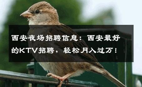 西安夜场招聘信息：西安最好的KTV招聘，轻松月入过万！