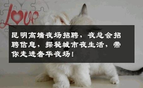 昆明高端夜场招聘，夜总会招聘信息，探秘城市夜生活，带你走进奢华夜场！