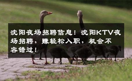 沈阳夜场招聘信息！沈阳KTV夜场招聘，赚轻松入职，机会不容错过！