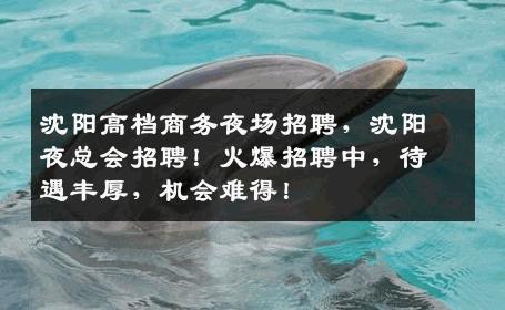 沈阳高档商务夜场招聘，沈阳夜总会招聘！火爆招聘中，待遇丰厚，机会难得！
