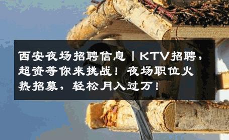 西安夜场招聘信息丨KTV招聘，超资等你来挑战！夜场职位火热招募，轻松月入过万！