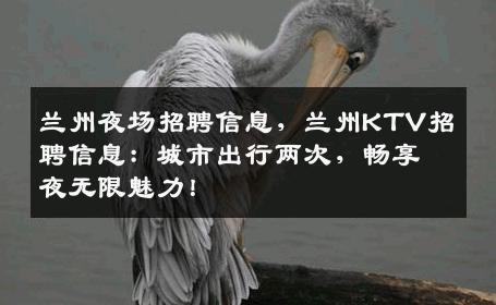 兰州夜场招聘信息，兰州KTV招聘信息：城市出行两次，畅享夜无限魅力！