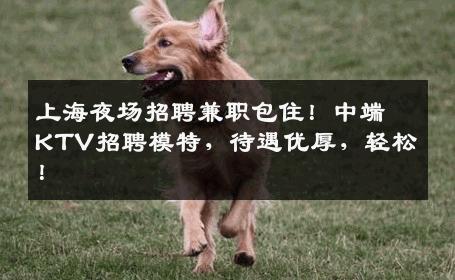 上海夜场招聘兼职包住！中端KTV招聘模特，待遇优厚，轻松！