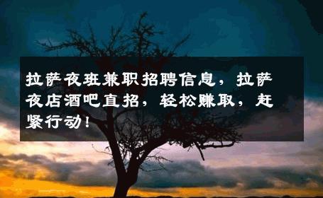 拉萨夜班兼职招聘信息，拉萨夜店酒吧直招，轻松赚取，赶紧行动！