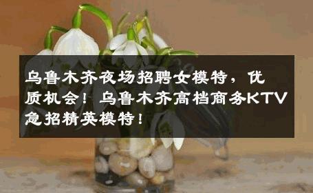 乌鲁木齐夜场招聘女模特，优质机会！乌鲁木齐高档商务KTV急招精英模特！