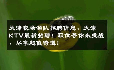 天津夜场领队招聘信息，天津KTV最新招聘！职位等你来挑战，尽享超值待遇！