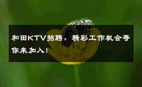 和田KTV招聘，精彩工作机会等你来加入！