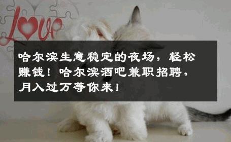 哈尔滨生意稳定的夜场，轻松赚钱！哈尔滨酒吧兼职招聘，月入过万等你来！