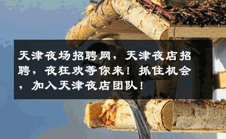 天津夜场招聘网，天津夜店招聘，夜狂欢等你来！抓住机会，加入天津夜店团队！