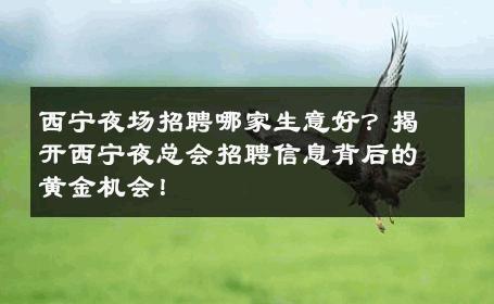 西宁夜场招聘哪家生意好？揭开西宁夜总会招聘信息背后的黄金机会！