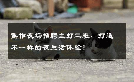 焦作夜场招聘主打二班，打造不一样的夜生活体验！