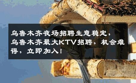 乌鲁木齐夜场招聘生意稳定，乌鲁木齐最大KTV招聘，机会难得，立即加入！