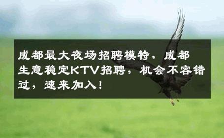成都最大夜场招聘模特，成都生意稳定KTV招聘，机会不容错过，速来加入！