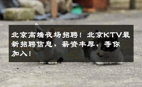 北京高端夜场招聘！北京KTV最新招聘信息，薪资丰厚，等你加入！