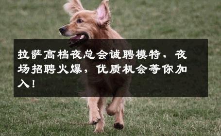 拉萨高档夜总会诚聘模特，夜场招聘火爆，优质机会等你加入！