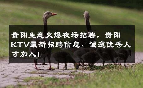 贵阳生意火爆夜场招聘，贵阳KTV最新招聘信息，诚邀优秀人才加入！