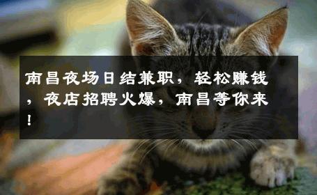 南昌夜场日结兼职，轻松赚钱，夜店招聘火爆，南昌等你来！
