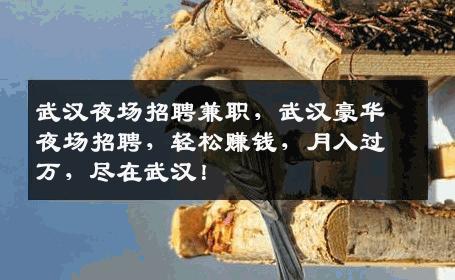 武汉夜场招聘兼职，武汉豪华夜场招聘，轻松赚钱，月入过万，尽在武汉！