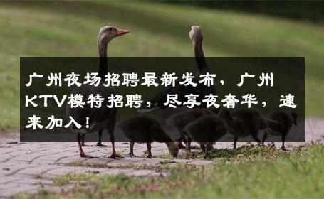 广州夜场招聘最新发布，广州KTV模特招聘，尽享夜奢华，速来加入！